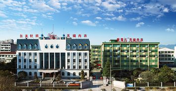 爾友針織 以“針”情“織”禮，端午關愛暖人心