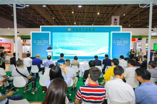 聯合國糧農組織“一國一品”中國茶項目暨2024國際茶日中國活動正式啟動，技術推廣服務助力茶產業高質量發展